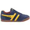 Gola Harrier